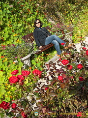 Castle of Mey Gardens