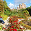 Tony photographing the Castle of Mey from the Queen Mother's bench
