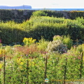 Castle of Mey Gardens