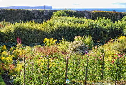 Castle of Mey Gardens