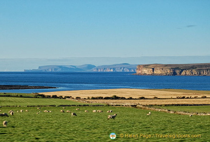 View of Dunnet Head