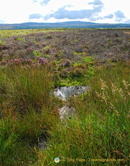 Culloden Battlefield