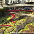 The clock was studded with hundreds of lobelias and sempervivums [Edinburgh - Scotland]