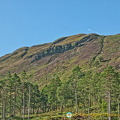 AJP 7432