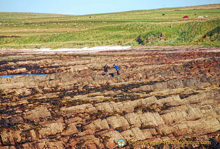 John-O-Groats AJP7333