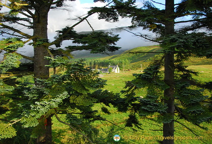 Laggan country views