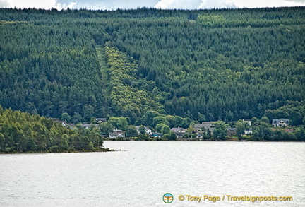 Thick forest around the loch