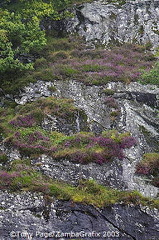 Loch Lomond - Scotland