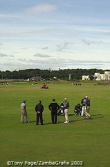 A group of lucky golfers 