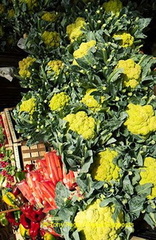 Palermo Market | Sicily