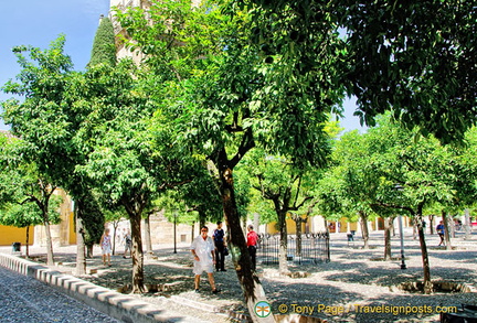 Patio de los Naranjos