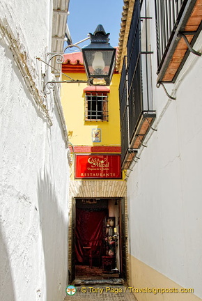 AJP 5694 (915 visitas) AJP 5694