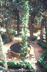 View of the garden