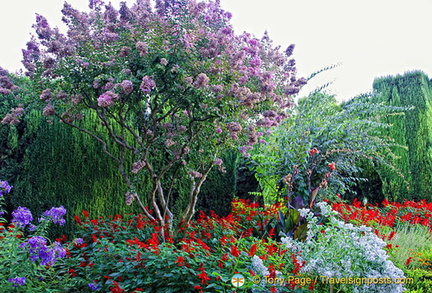 Generalife Gardens:  Some of the beautiful flowers in the Lower Garden