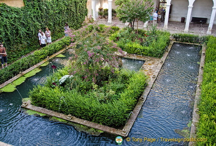 View down into the Court of the Sultana's Cypress