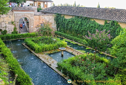 View of the Court of the Sultana's Cypress