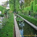 Generalife Lower Gardens:  Water canal