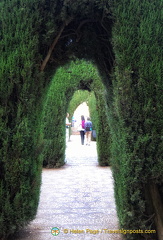 The secret gardens of the Generalife