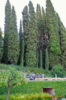 Generalife Lower Gardens