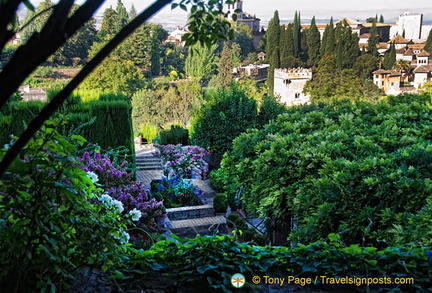 Generalife garden view