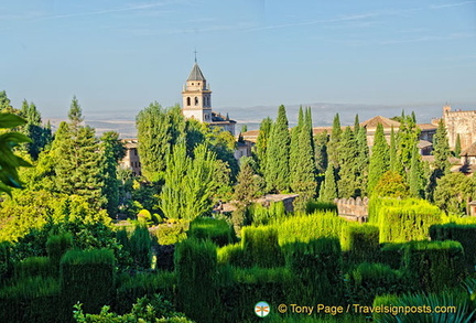 Promenade of the Cypress Trees: General view