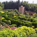 Generalife gardens