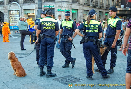 Guess who's keeping an eye on law and order in the Puerta del Sol