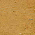 This yellow Albero soil is used in bullrings (1694 besøg) The Albero soil becomes slippery when it is wet. Presumably this is why the bulls always lose out t... This yellow Albero soil is used in bullrings