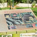 About the colour of the olives