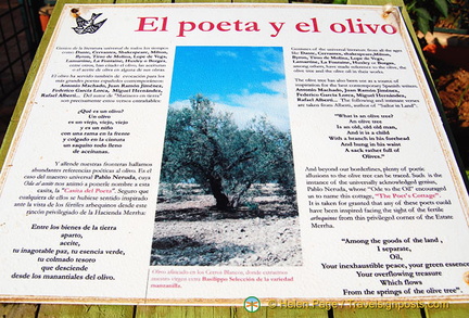 The olive tree is a source of inspiration for many writers