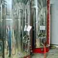 AJP 5425