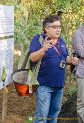 Our guide and his olive picking basket