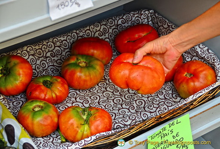 Me lifting one of the giant San Sebastian tomatoes