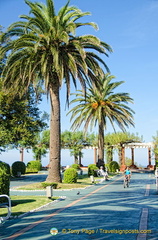 Piquío Gardens palms