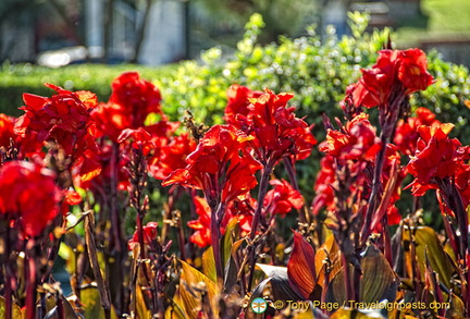 Bright flower beds of the Piquío Gardens