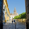 View of La Giralda from the Alcazar