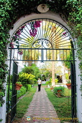 Looking into the palm court of Hacienda Los Miradores