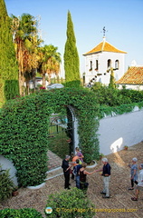 Hacienda Los Miradores garden