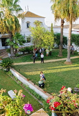 Hacienda los Miradores garden