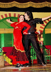 The stars flamenco dancers at Palacio Andaluz