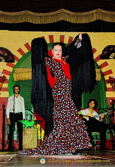 She is a leading Seville flamenco dancer