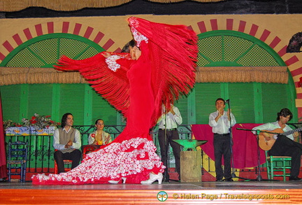 Flamenco dancer in full flight