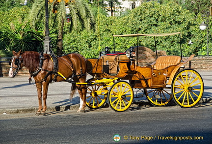 A nice way to do sightseeing in Seville