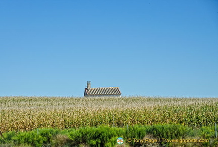 Zaragoza countryside