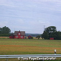 Swedish countryside (3061 visits) Swedish countryside Swedish countryside