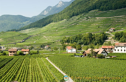 Aigle | Chablais | Switzerland