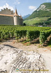 Aigle | Chablais | Switzerland