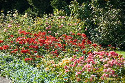 Berne Bear Pits and Rose Garden