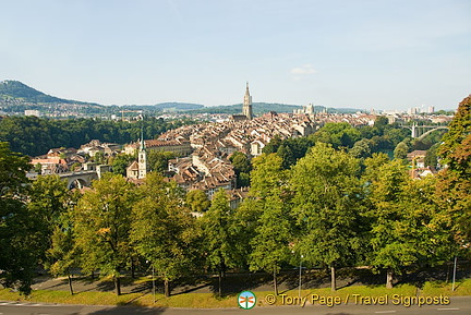 Berne Bear Pits and Rose Garden