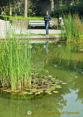 Berne Bear Pits and Rose Garden